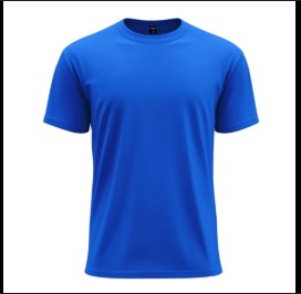 Blue T-Shirt